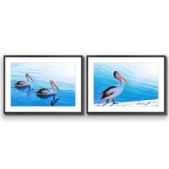Pelican Perfect Pair -WALL ART DESGIN SALE pelican perfect pair acrylic glass with border black frame 45x30cm 578429