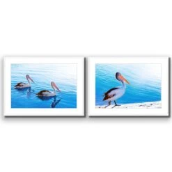 Pelican Perfect Pair -WALL ART DESGIN SALE pelican perfect pair acrylic glass with border white frame 45x30cm 626246