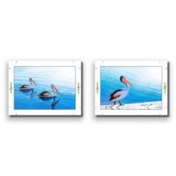 Pelican Perfect Pair -WALL ART DESGIN SALE pelican perfect pair canvas rolled canvas 45x30cm 658215