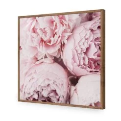 Peony Perfection III -WALL ART DESGIN SALE peony perfection iii acrylic glass no border natural frame 37x37cm 916559