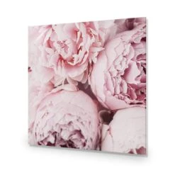 Peony Perfection III -WALL ART DESGIN SALE peony perfection iii acrylic glass no border no frame 37x37cm 633102