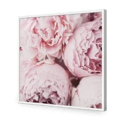 Peony Perfection III -WALL ART DESGIN SALE peony perfection iii acrylic glass no border white frame 37x37cm 222372