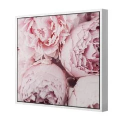 Peony Perfection III -WALL ART DESGIN SALE peony perfection iii canvas white floating frame 37x37cm 729933