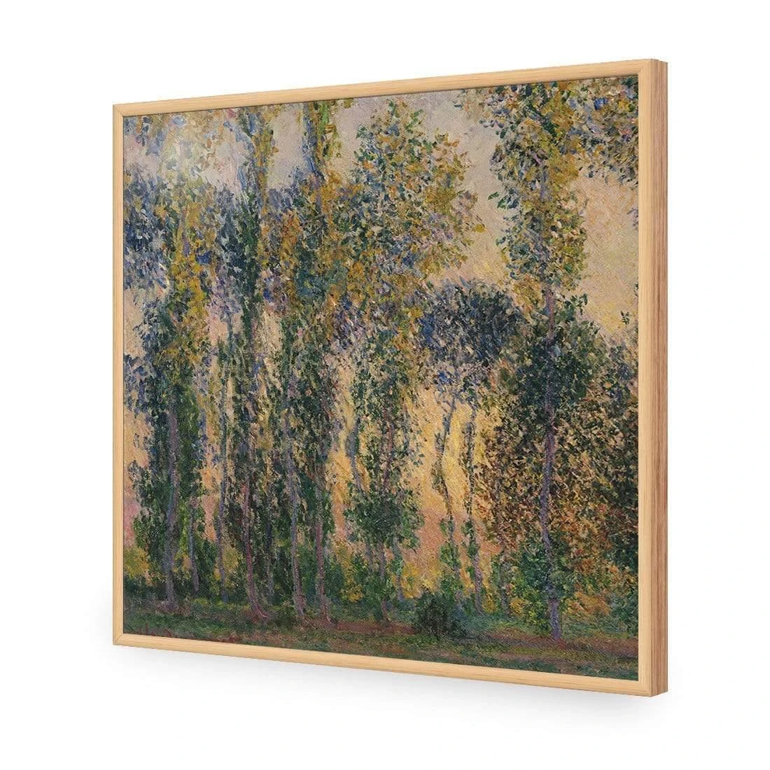Poplars At Giverny Sunrise by Monet Poplars At Giverny Sunrise By Monet -WALL ART DESGIN SALE poplars at giverny sunrise by monet acrylic glass no border oak frame 37x37cm 190645