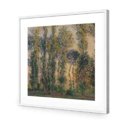 Poplars At Giverny Sunrise By Monet 12 Poplars At Giverny Sunrise By Monet -WALL ART DESGIN SALE poplars at giverny sunrise by monet acrylic glass with border white frame 37x37cm 995375