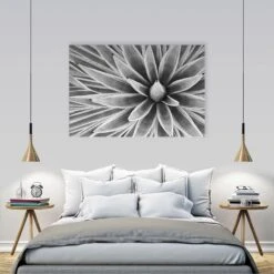 Prickly Perfect, Black And White (Landscape) 8 Prickly Perfect, Black And White (Landscape) -WALL ART DESGIN SALE prickly perfect black and white landscape canvas stretched canvas 45x30cm 415018