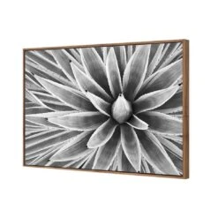 Prickly Perfect, Black And White (Landscape) 5 Prickly Perfect, Black And White (Landscape) -WALL ART DESGIN SALE prickly perfect black and white landscape canvas stretched canvas 45x30cm 625096