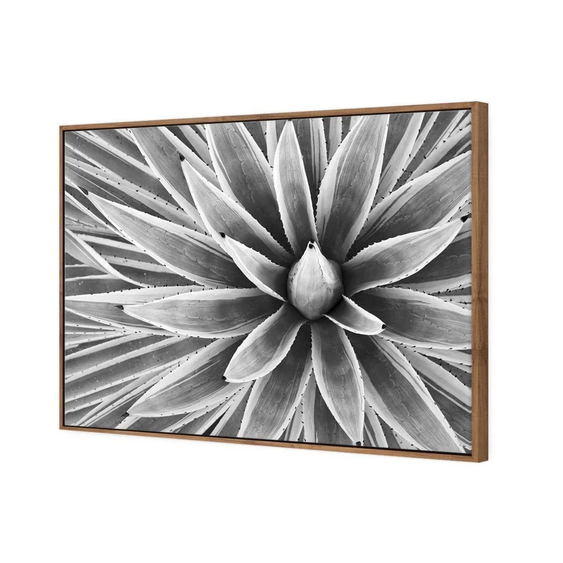Prickly Perfect, Black and White (Landscape) Prickly Perfect, Black And White (Landscape) -WALL ART DESGIN SALE prickly perfect black and white landscape canvas stretched canvas 45x30cm 625096