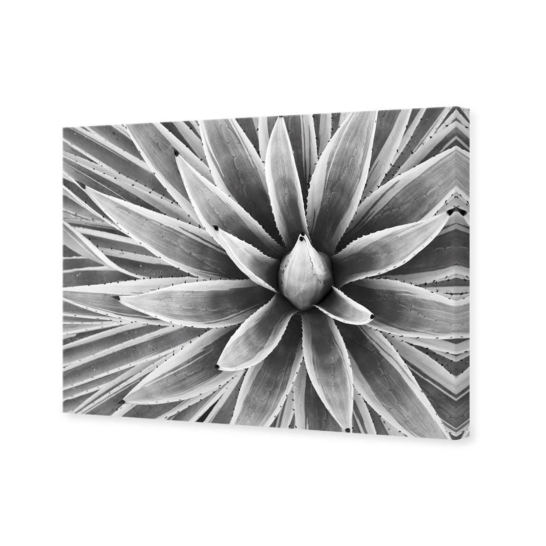 Prickly Perfect, Black and White (Landscape) Prickly Perfect, Black And White (Landscape) -WALL ART DESGIN SALE prickly perfect black and white landscape canvas stretched canvas 45x30cm 883911