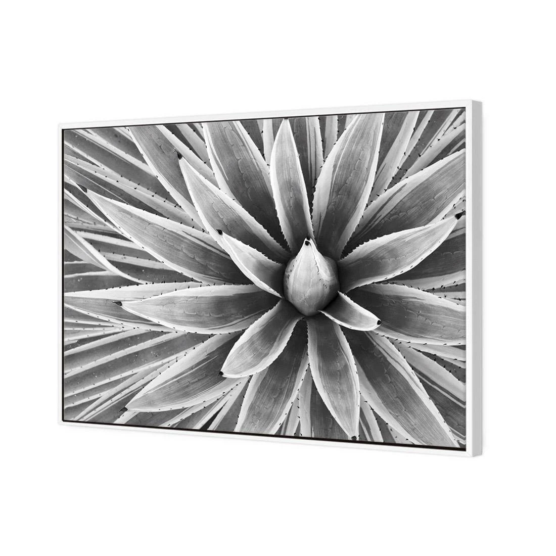 Prickly Perfect, Black and White (Landscape) Prickly Perfect, Black And White (Landscape) -WALL ART DESGIN SALE prickly perfect black and white landscape canvas stretched canvas 45x30cm 917135