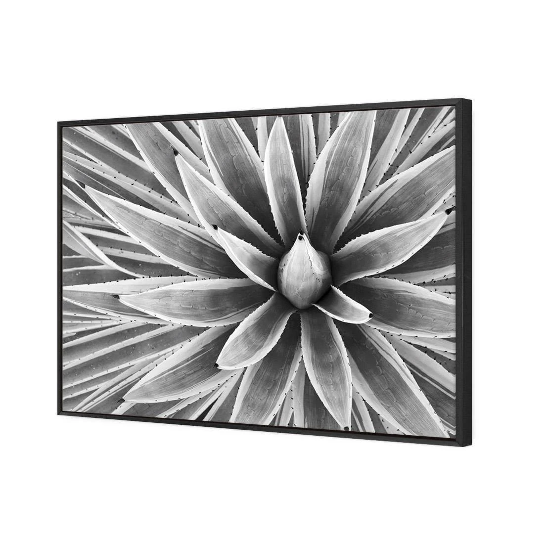 Prickly Perfect, Black and White (Landscape) Prickly Perfect, Black And White (Landscape) -WALL ART DESGIN SALE prickly perfect black and white landscape canvas stretched canvas 45x30cm 918048