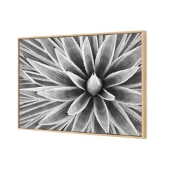 Prickly Perfect, Black And White (Landscape) 7 Prickly Perfect, Black And White (Landscape) -WALL ART DESGIN SALE prickly perfect black and white landscape canvas stretched canvas 45x30cm 979610