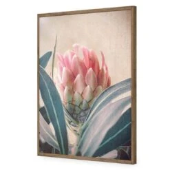 Protea Hiding -WALL ART DESGIN SALE protea hiding acrylic glass no border natural frame 45x30cm 560578
