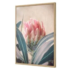 Protea Hiding -WALL ART DESGIN SALE protea hiding acrylic glass no border oak frame 45x30cm 610106