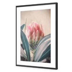 Protea Hiding -WALL ART DESGIN SALE protea hiding acrylic glass with border black frame 45x30cm 594105