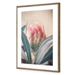 Protea Hiding -WALL ART DESGIN SALE protea hiding acrylic glass with border natural frame 45x30cm 545097