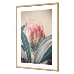 Protea Hiding -WALL ART DESGIN SALE protea hiding acrylic glass with border oak frame 45x30cm 665466