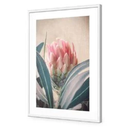 Protea Hiding -WALL ART DESGIN SALE protea hiding acrylic glass with border white frame 45x30cm 835106