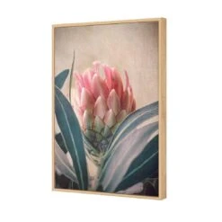 Protea Hiding -WALL ART DESGIN SALE protea hiding canvas oak floating frame 45x30cm 723521