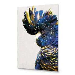 Proud Black Cocky 14 Proud Black Cocky -WALL ART DESGIN SALE proud black cocky acrylic glass no border no frame 45x30cm 411779