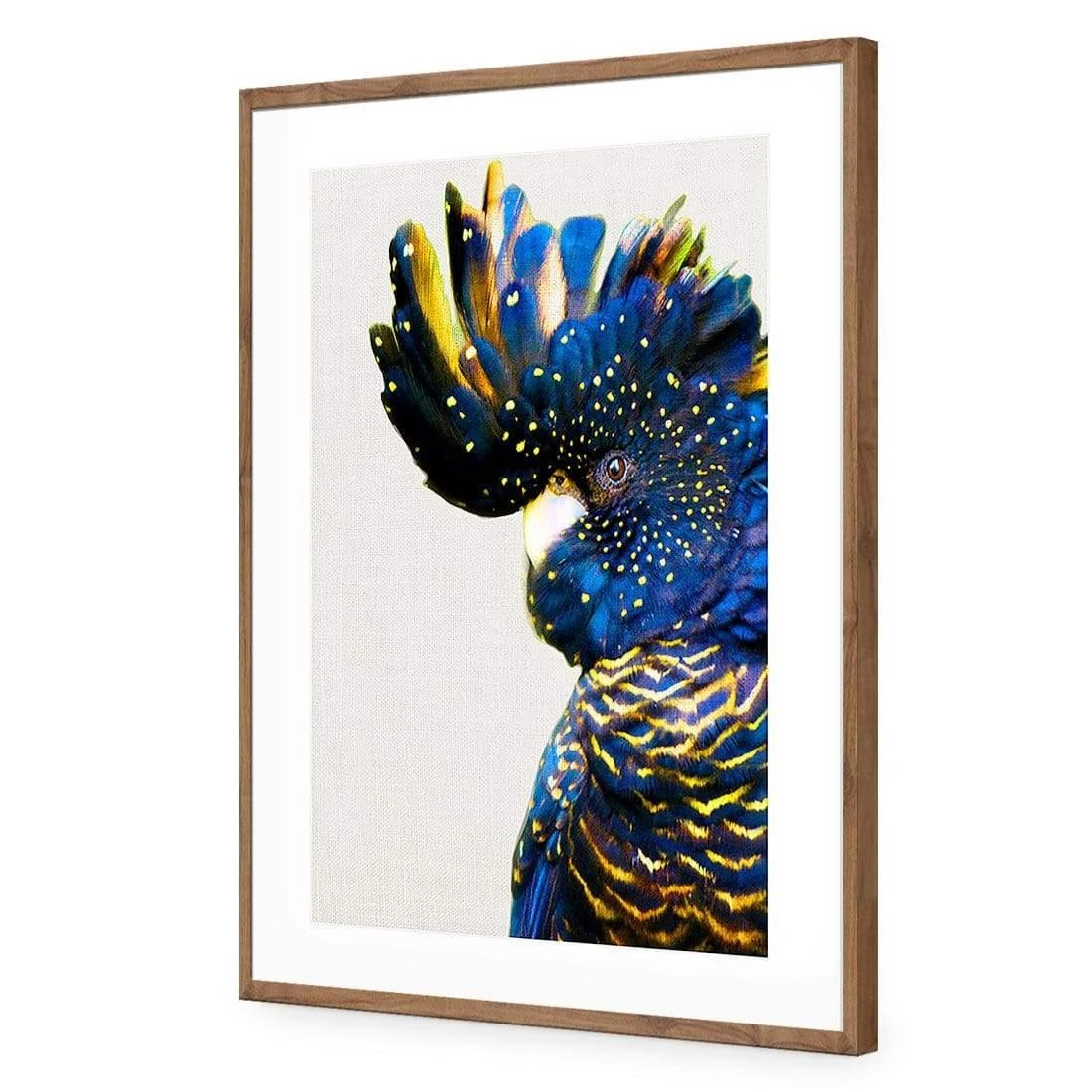 Proud Black Cocky Proud Black Cocky -WALL ART DESGIN SALE proud black cocky acrylic glass with border natural frame 45x30cm 760459