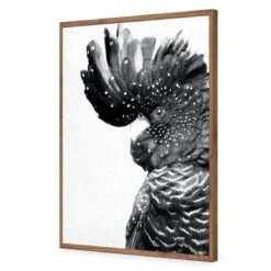 Proud Black Cocky, Black And White -WALL ART DESGIN SALE proud black cocky black and white acrylic glass no border natural frame 45x30cm 758410