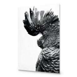 Proud Black Cocky, Black And White -WALL ART DESGIN SALE proud black cocky black and white acrylic glass no border no frame 45x30cm 386599