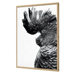 Proud Black Cocky, Black And White -WALL ART DESGIN SALE proud black cocky black and white acrylic glass no border oak frame 45x30cm 268889