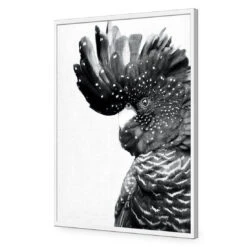 Proud Black Cocky, Black And White -WALL ART DESGIN SALE proud black cocky black and white acrylic glass no border white frame 45x30cm 485580