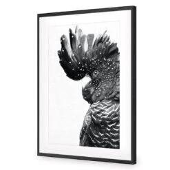Proud Black Cocky, Black And White -WALL ART DESGIN SALE proud black cocky black and white acrylic glass with border black frame 45x30cm 270621