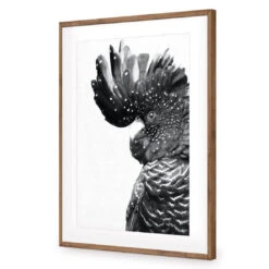 Proud Black Cocky, Black And White -WALL ART DESGIN SALE proud black cocky black and white acrylic glass with border natural frame 45x30cm 477790