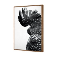 Proud Black Cocky, Black And White -WALL ART DESGIN SALE proud black cocky black and white canvas natural floating frame 45x30cm 984809