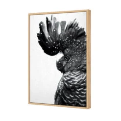 Proud Black Cocky, Black And White -WALL ART DESGIN SALE proud black cocky black and white canvas oak floating frame 45x30cm 138062