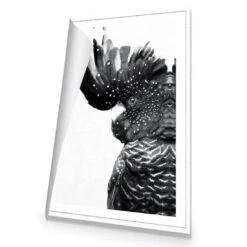 Proud Black Cocky, Black And White -WALL ART DESGIN SALE proud black cocky black and white canvas rolled canvas 45x30cm 358701