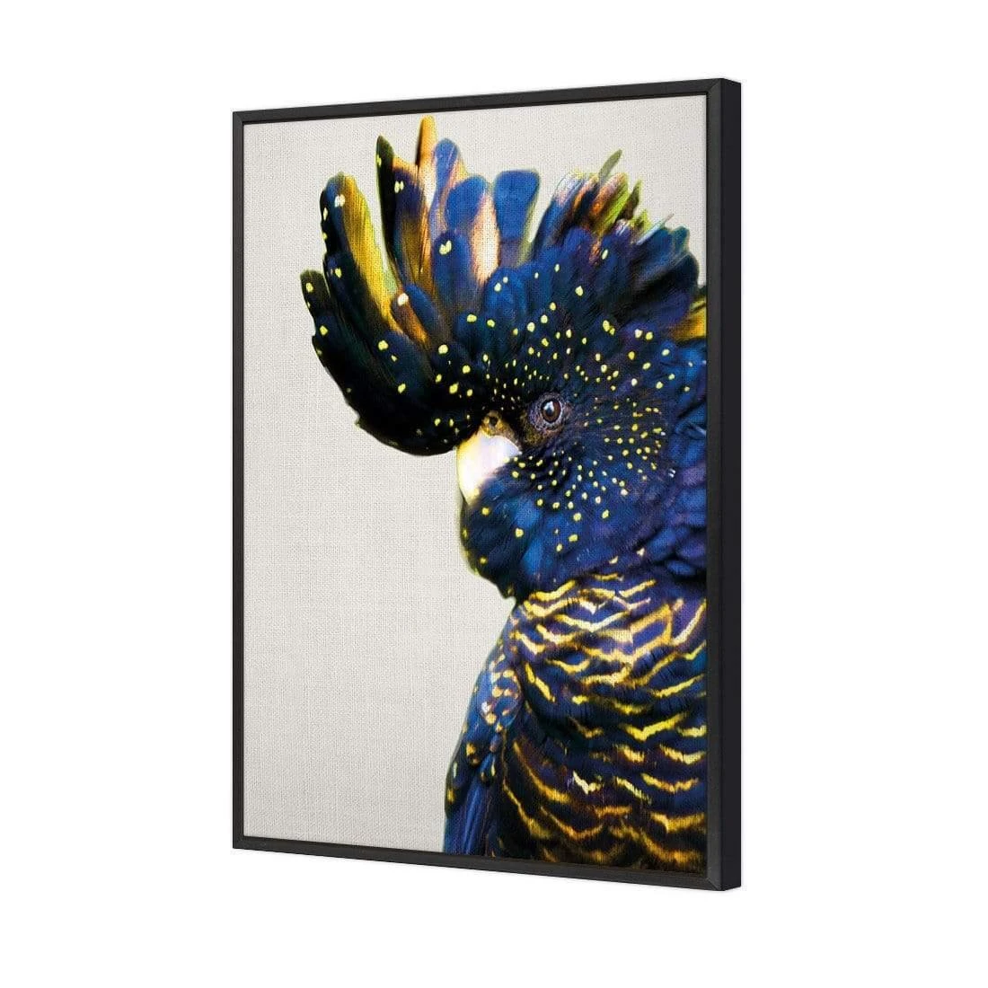 Proud Black Cocky Proud Black Cocky -WALL ART DESGIN SALE proud black cocky canvas black floating frame 45x30cm 696061