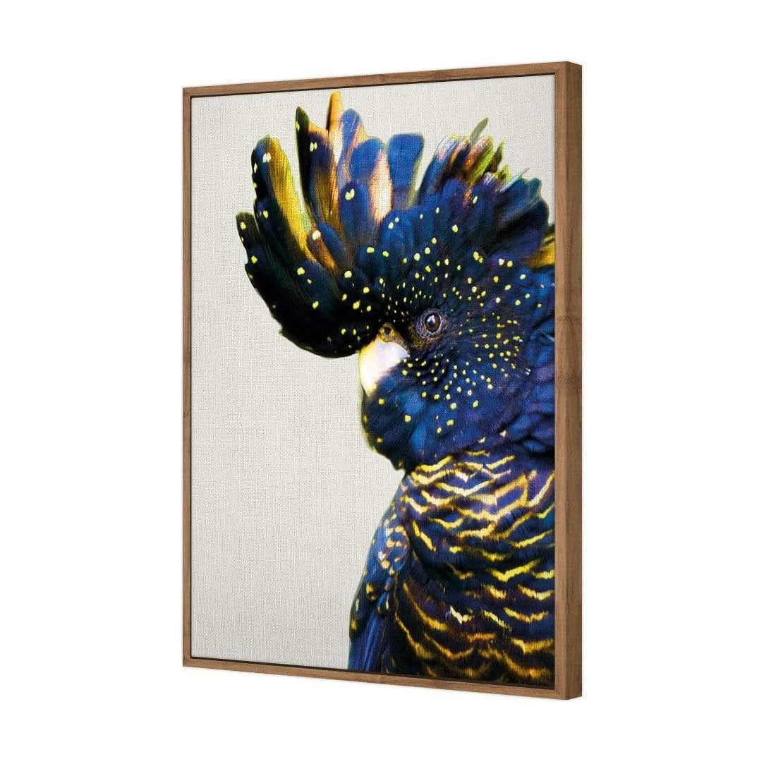 Proud Black Cocky Proud Black Cocky -WALL ART DESGIN SALE proud black cocky canvas natural floating frame 45x30cm 165390