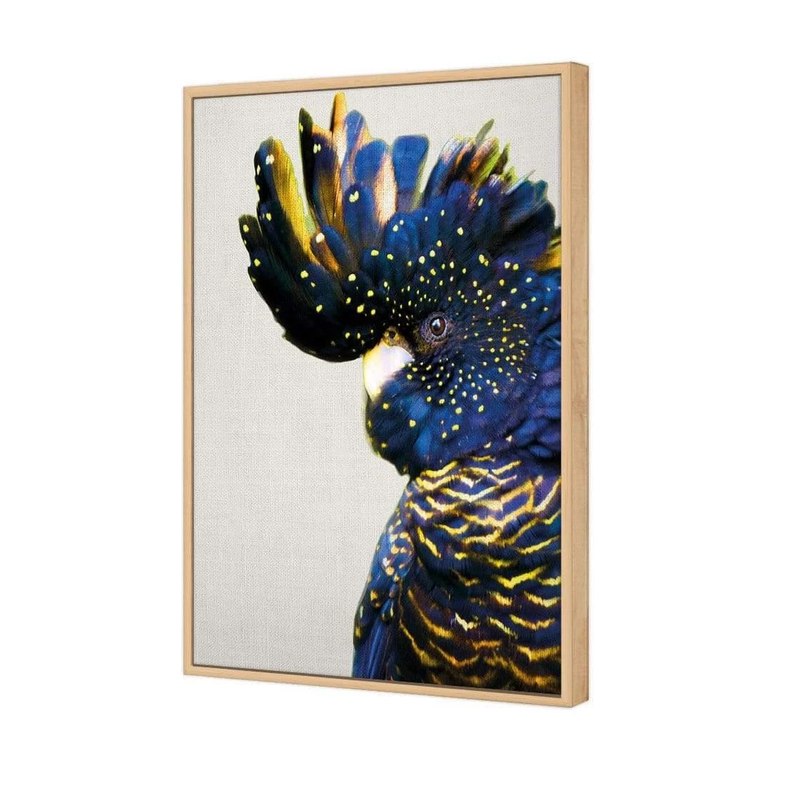 Proud Black Cocky Proud Black Cocky -WALL ART DESGIN SALE proud black cocky canvas oak floating frame 45x30cm 448286