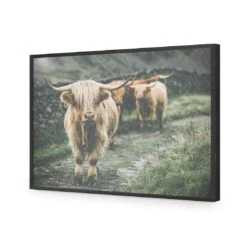 Rain In The Highlands -WALL ART DESGIN SALE rain in the highlands acrylic glass no border black frame 45x30cm 755870