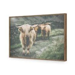 Rain In The Highlands -WALL ART DESGIN SALE rain in the highlands acrylic glass no border natural frame 45x30cm 710063