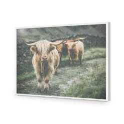 Rain In The Highlands -WALL ART DESGIN SALE rain in the highlands acrylic glass no border white frame 45x30cm 696614