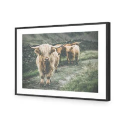 Rain In The Highlands -WALL ART DESGIN SALE rain in the highlands acrylic glass with border black frame 45x30cm 391113