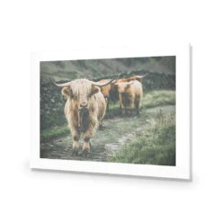 Rain In The Highlands -WALL ART DESGIN SALE rain in the highlands acrylic glass with border no frame 45x30cm 217316