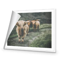 Rain In The Highlands -WALL ART DESGIN SALE rain in the highlands canvas rolled canvas 45x30cm 657952