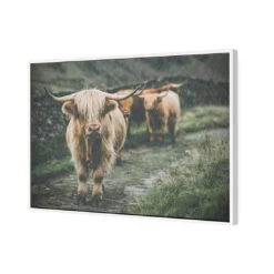 Rain In The Highlands -WALL ART DESGIN SALE rain in the highlands canvas white floating frame 45x30cm 397619