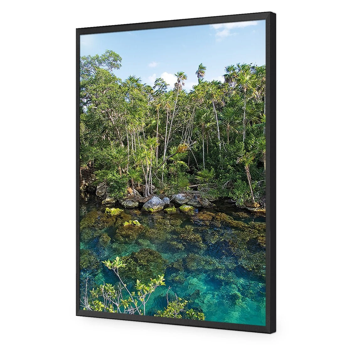 Rainforest Lake (rectangle) Rainforest Lake (rectangle) -WALL ART DESGIN SALE rainforest lake rectangle acrylic glass no border black frame 45x30cm 873796