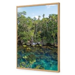 Rainforest Lake (rectangle) 17 Rainforest Lake (rectangle) -WALL ART DESGIN SALE rainforest lake rectangle acrylic glass no border oak frame 45x30cm 276886