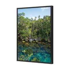Rainforest Lake (rectangle) 4 Rainforest Lake (rectangle) -WALL ART DESGIN SALE rainforest lake rectangle canvas black floating frame 45x30cm 756370