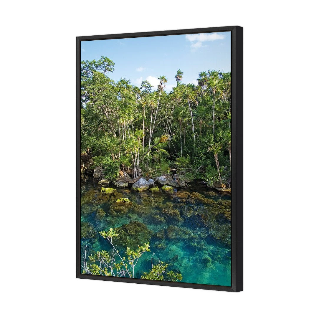 Rainforest Lake (rectangle) Rainforest Lake (rectangle) -WALL ART DESGIN SALE rainforest lake rectangle canvas black floating frame 45x30cm 756370