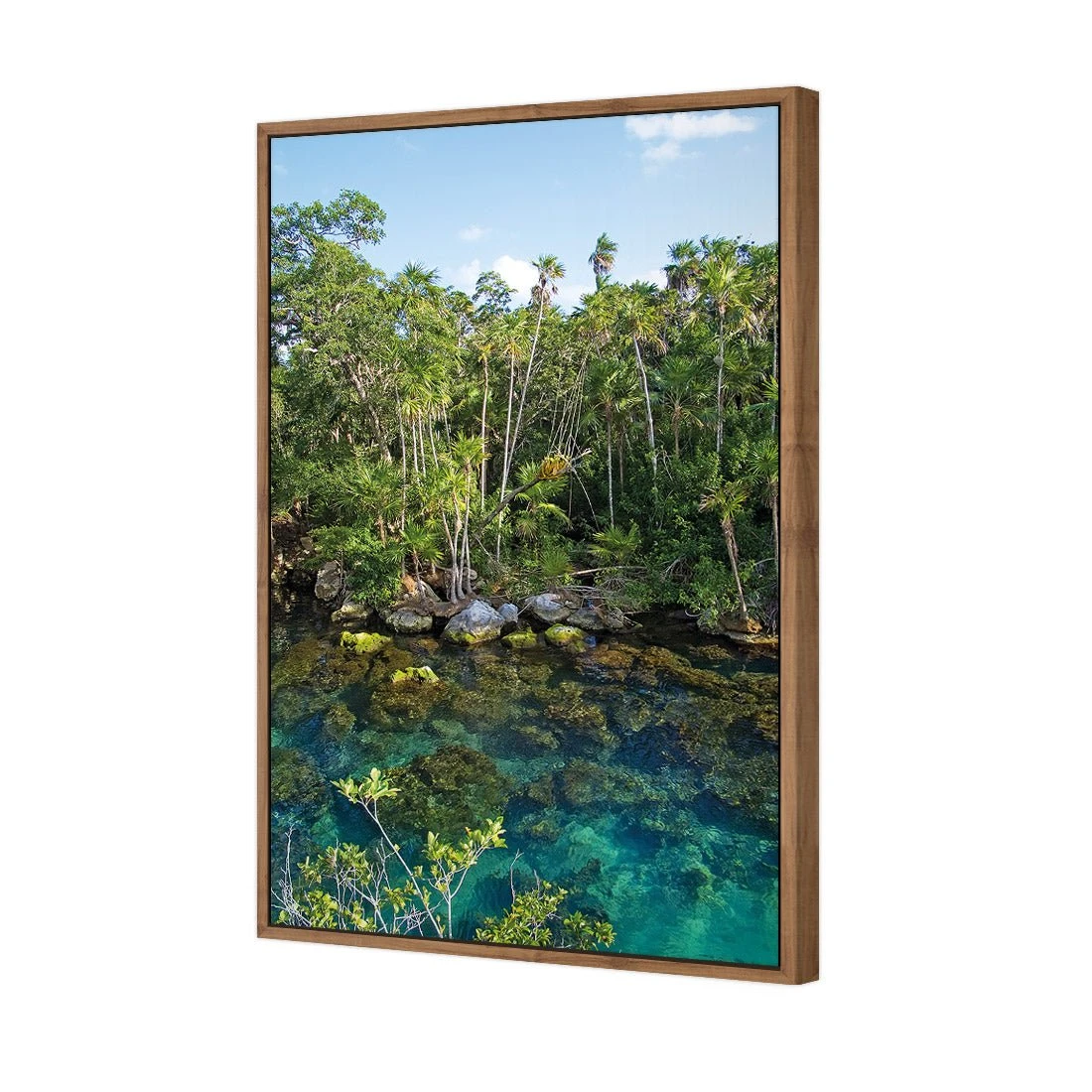 Rainforest Lake (rectangle) Rainforest Lake (rectangle) -WALL ART DESGIN SALE rainforest lake rectangle canvas natural floating frame 45x30cm 307462