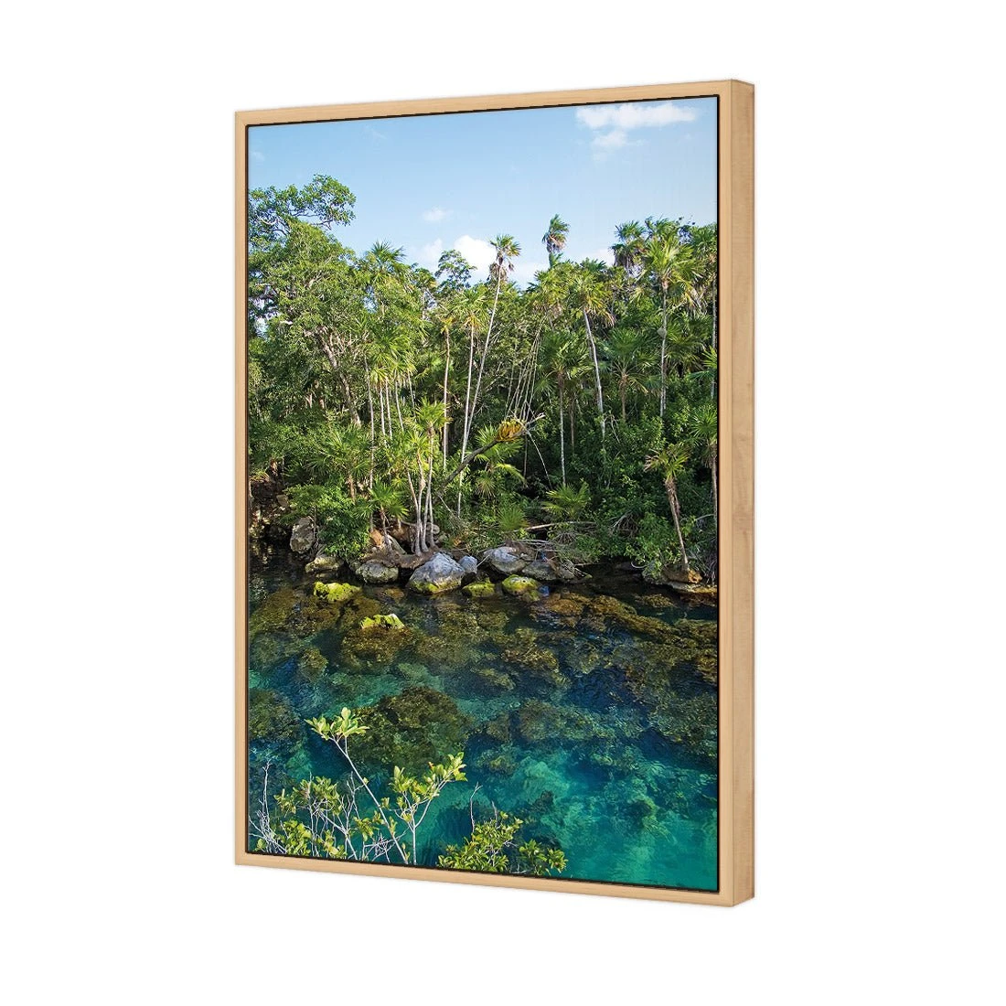 Rainforest Lake (rectangle) Rainforest Lake (rectangle) -WALL ART DESGIN SALE rainforest lake rectangle canvas oak floating frame 45x30cm 177109